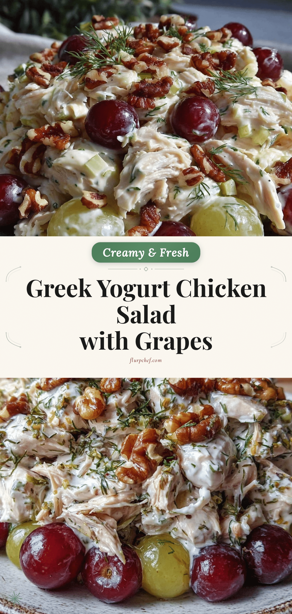 creamy greek yogurt chicken salad recipe