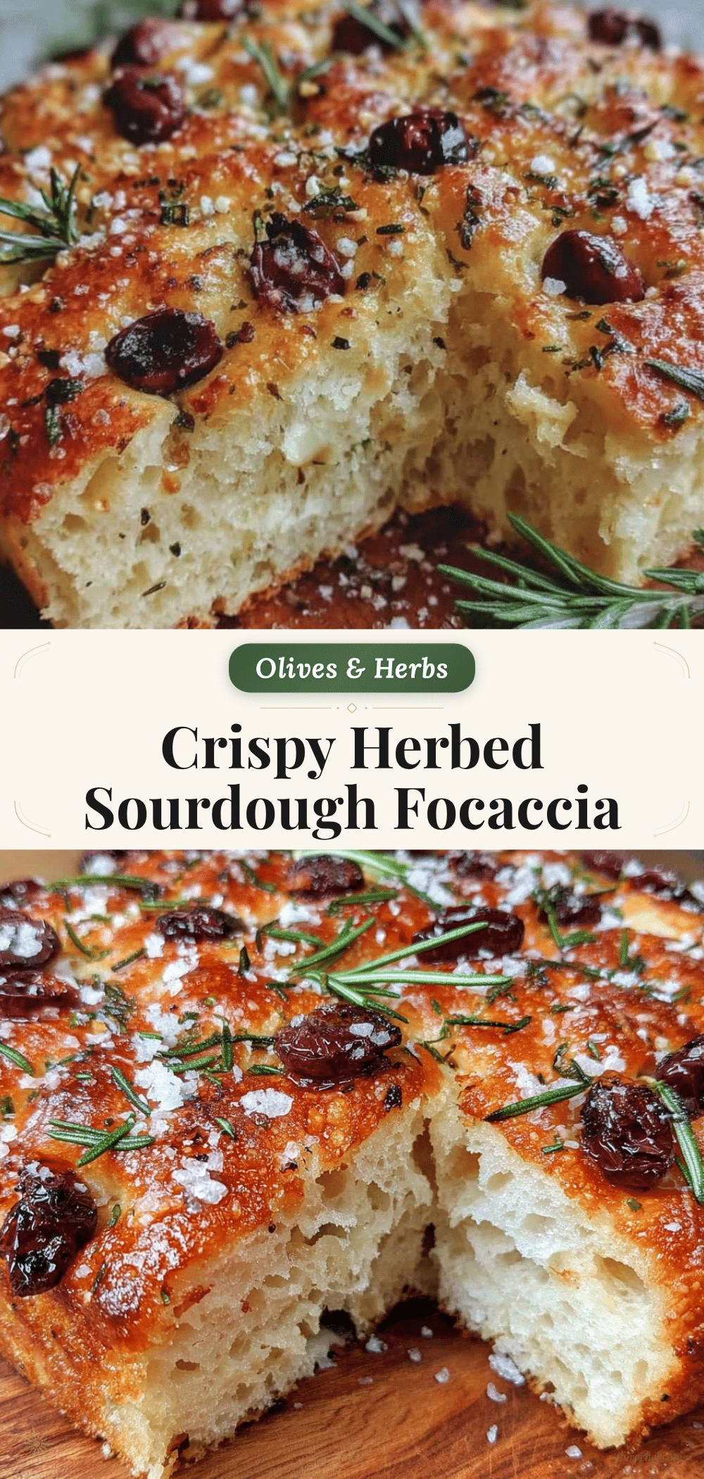crispy herbed sourdough focaccia recipe
