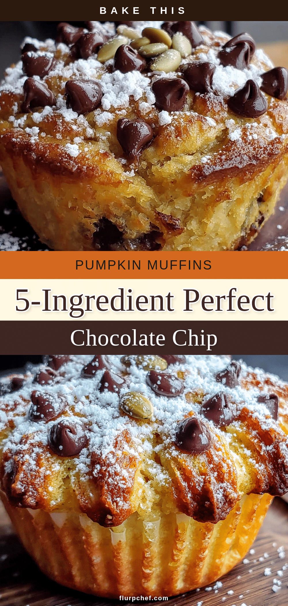 easy 5-ingredient pumpkin chocolate chip muffins recipe
