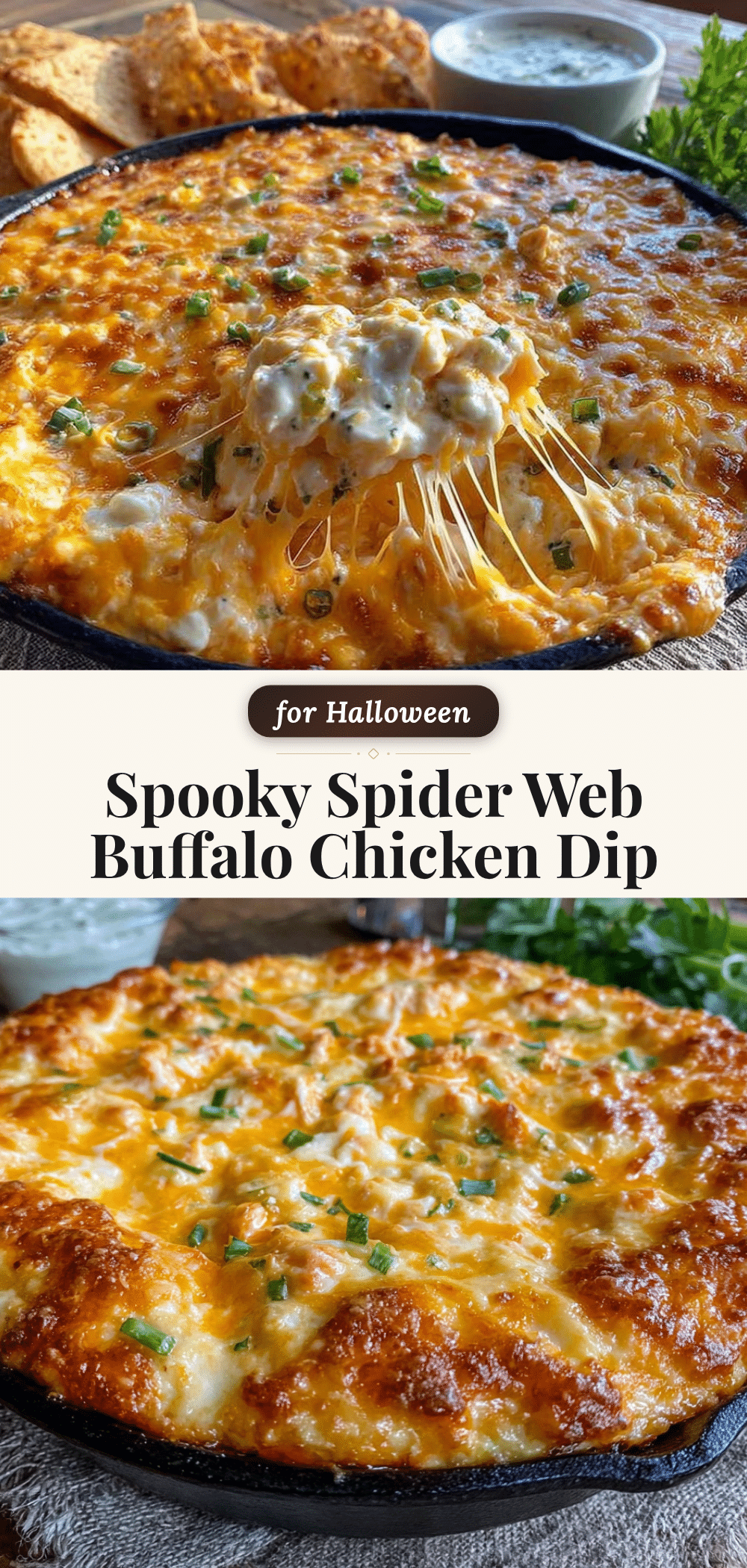 spider web buffalo chicken dip recipe