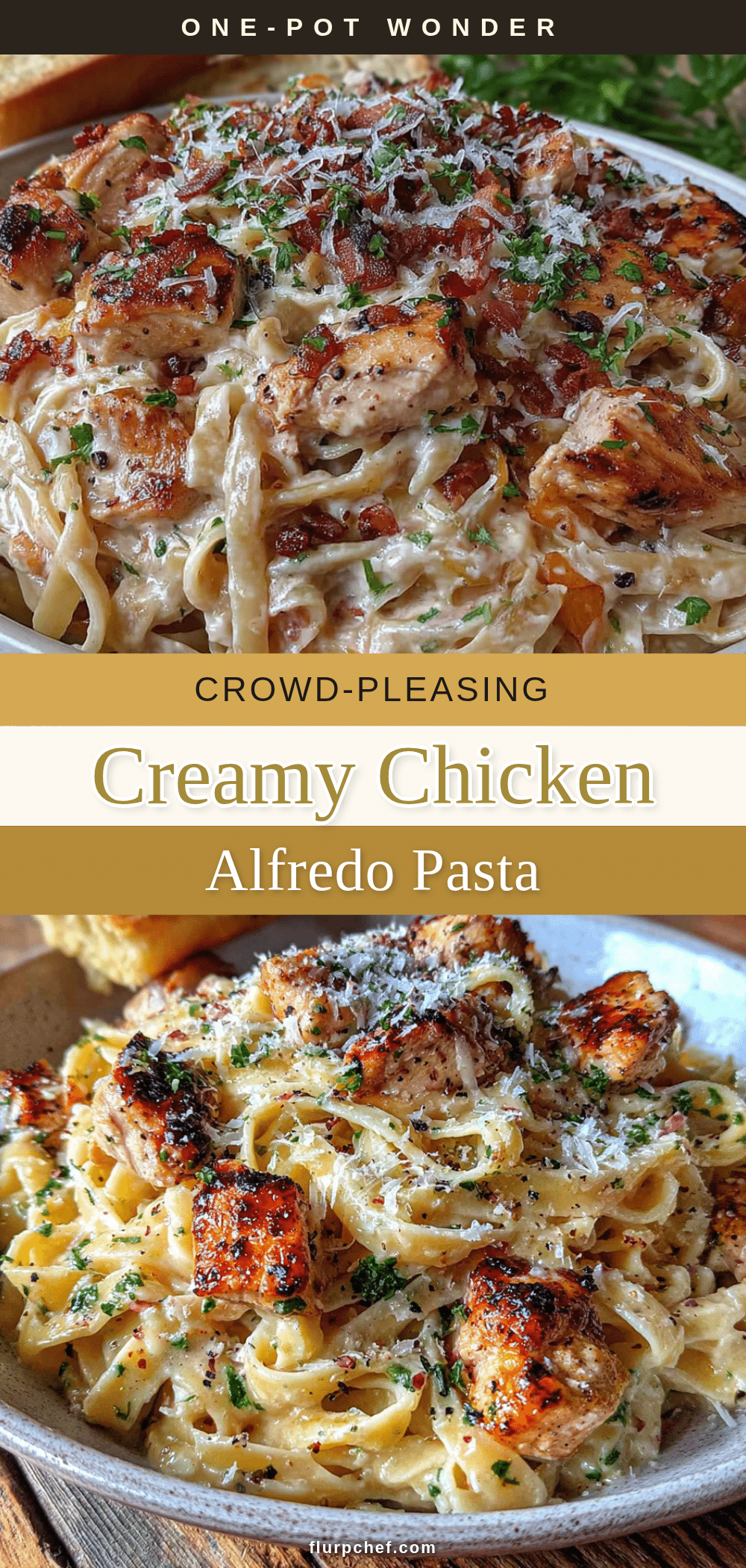 creamy chicken alfredo pasta recipe